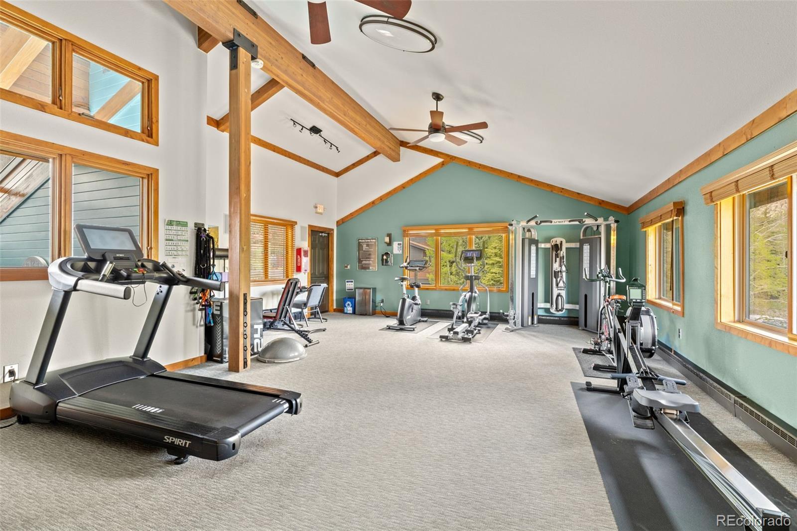 MLS Image #26 for 500  bills ranch road,frisco, Colorado