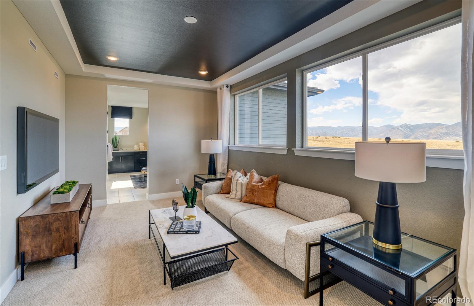 MLS Image #27 for 8847  hotchkiss street,littleton, Colorado