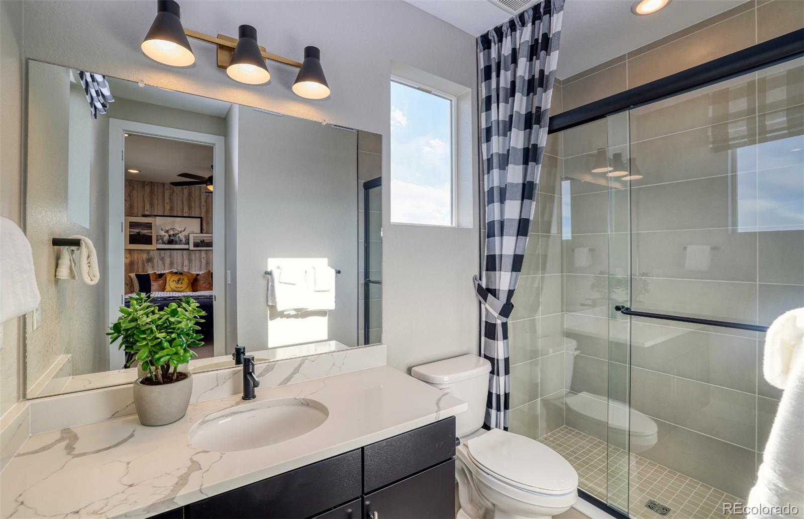 MLS Image #8 for 8847  hotchkiss street,littleton, Colorado