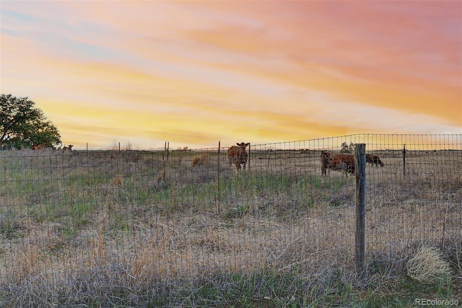 MLS Image #26 for 58117 e 42nd drive,strasburg, Colorado