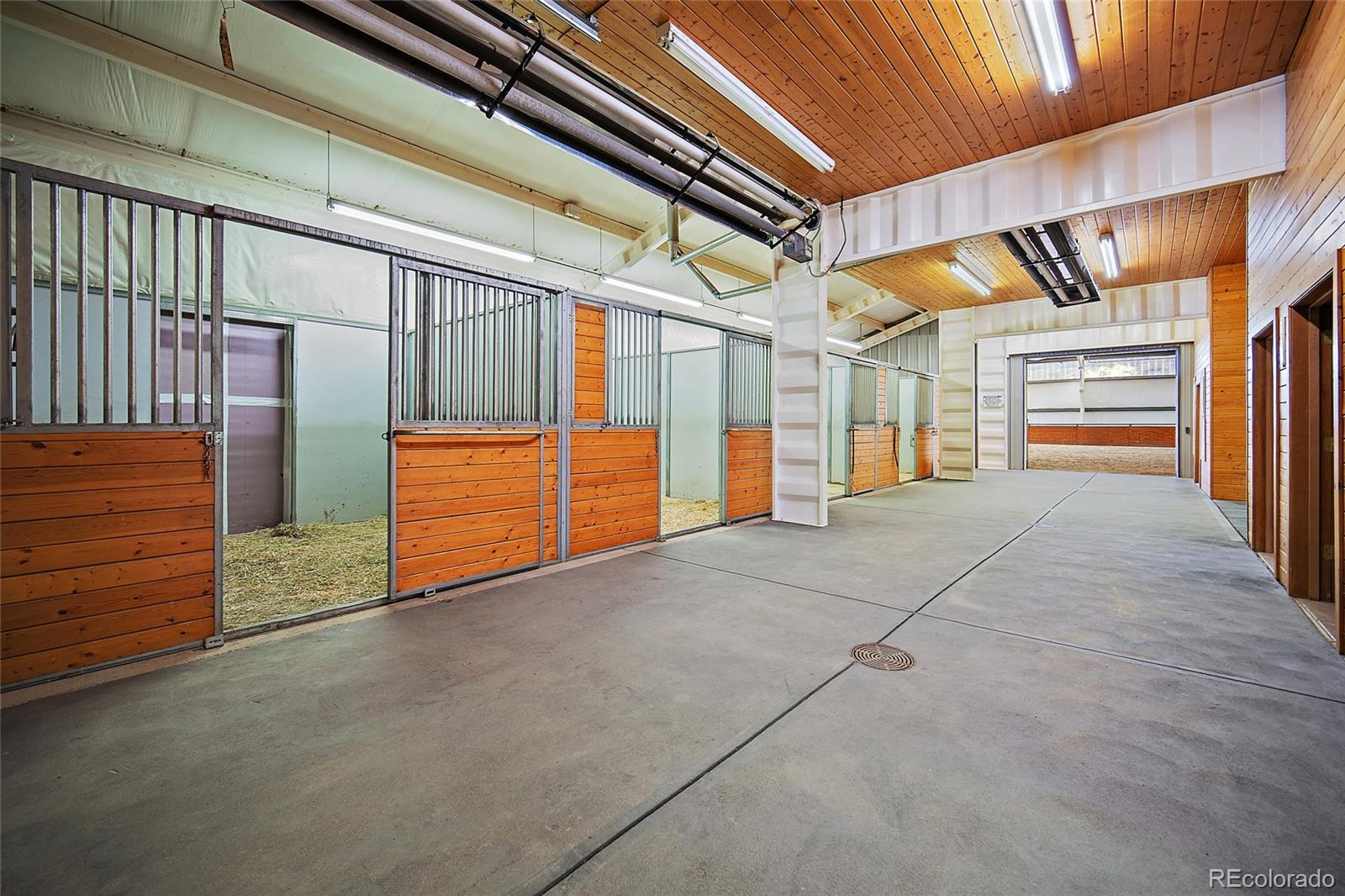 MLS Image #45 for 3572  white bear point,colorado springs, Colorado