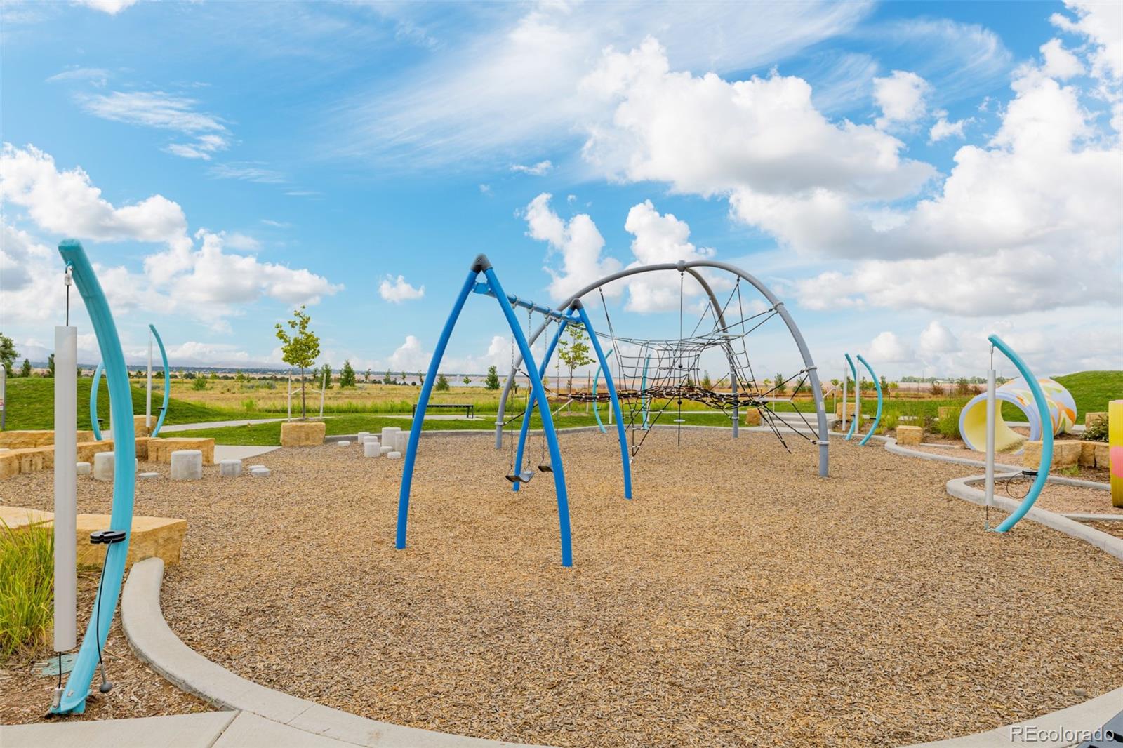 MLS Image #42 for 9032  star fall circle,littleton, Colorado