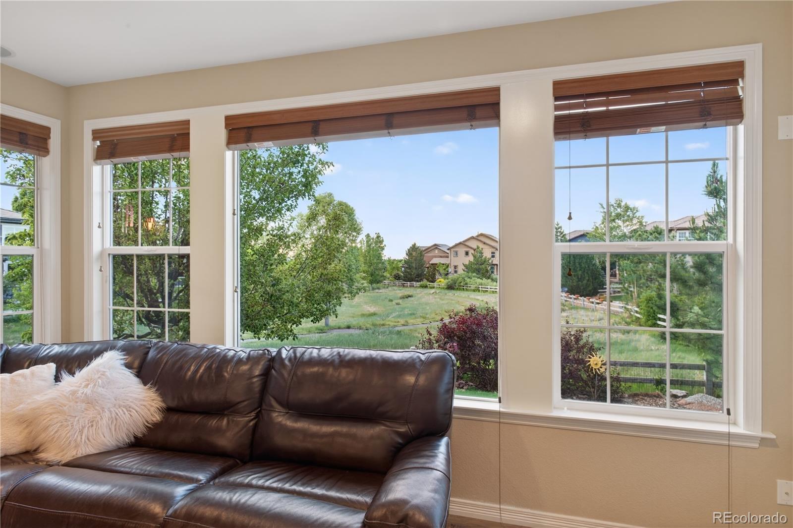 MLS Image #11 for 391  maplehurst drive,highlands ranch, Colorado