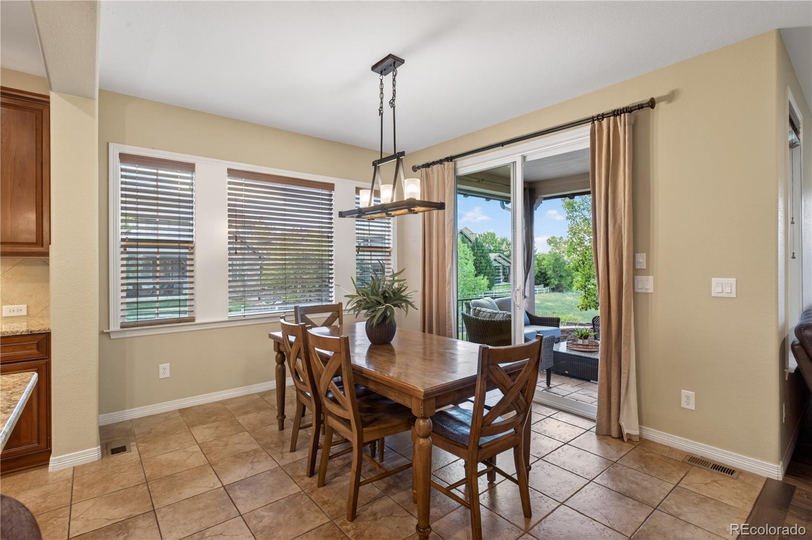 MLS Image #20 for 391  maplehurst drive,highlands ranch, Colorado
