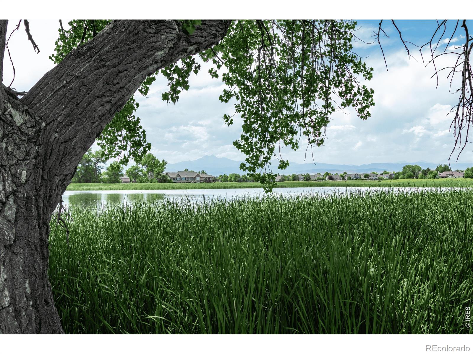 MLS Image #47 for 1757  montgomery circle,longmont, Colorado
