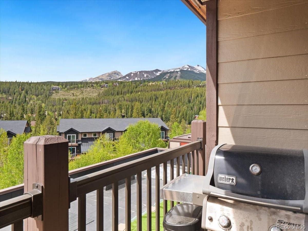 MLS Image #23 for 9339  state hwy 9  p6,breckenridge, Colorado