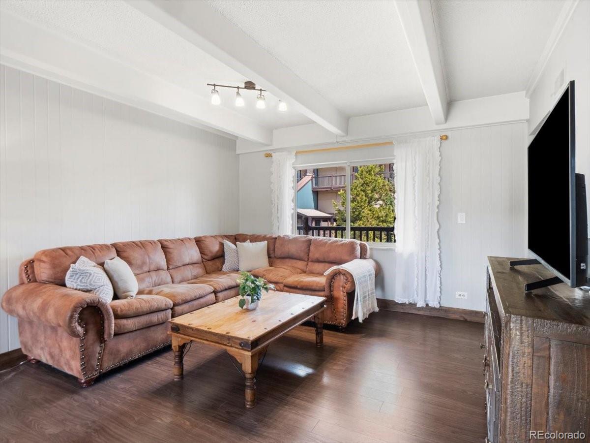 MLS Image #3 for 9339  state hwy 9  p6,breckenridge, Colorado
