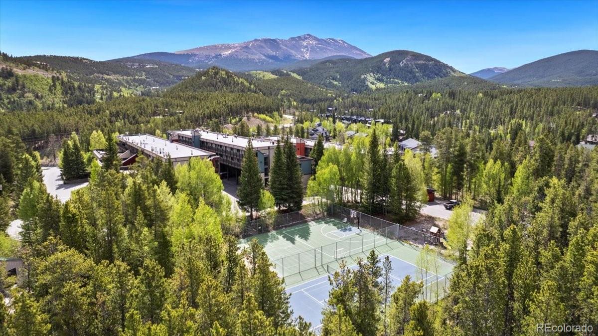 MLS Image #33 for 9339  state hwy 9  p6,breckenridge, Colorado