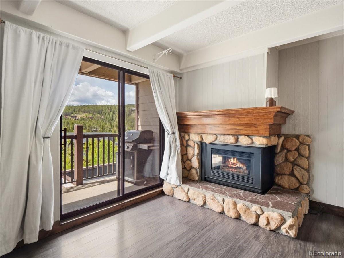 MLS Image #7 for 9339  state hwy 9  p6,breckenridge, Colorado