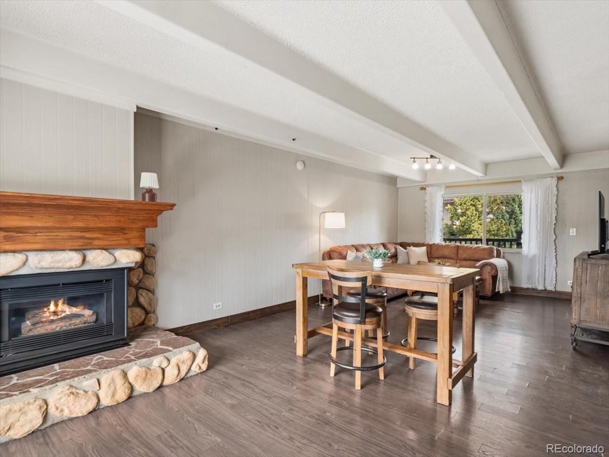 MLS Image #8 for 9339  state hwy 9  p6,breckenridge, Colorado