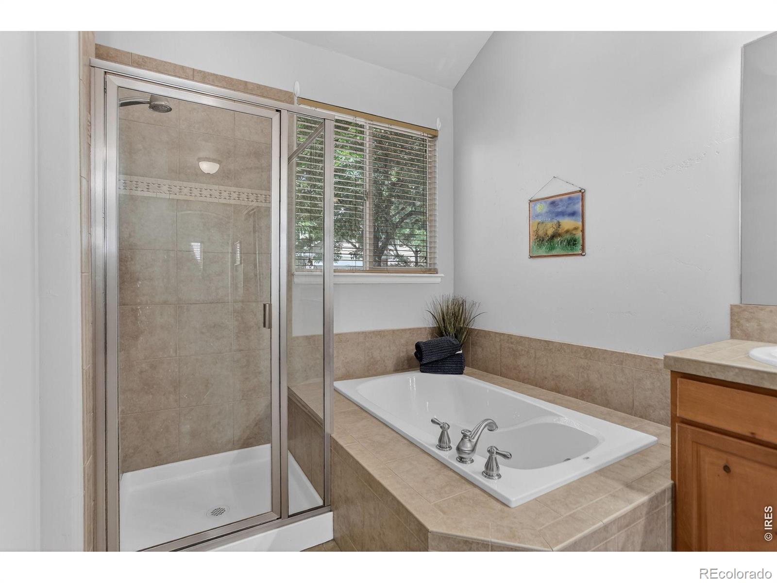 MLS Image #20 for 6715  enterprise drive,fort collins, Colorado