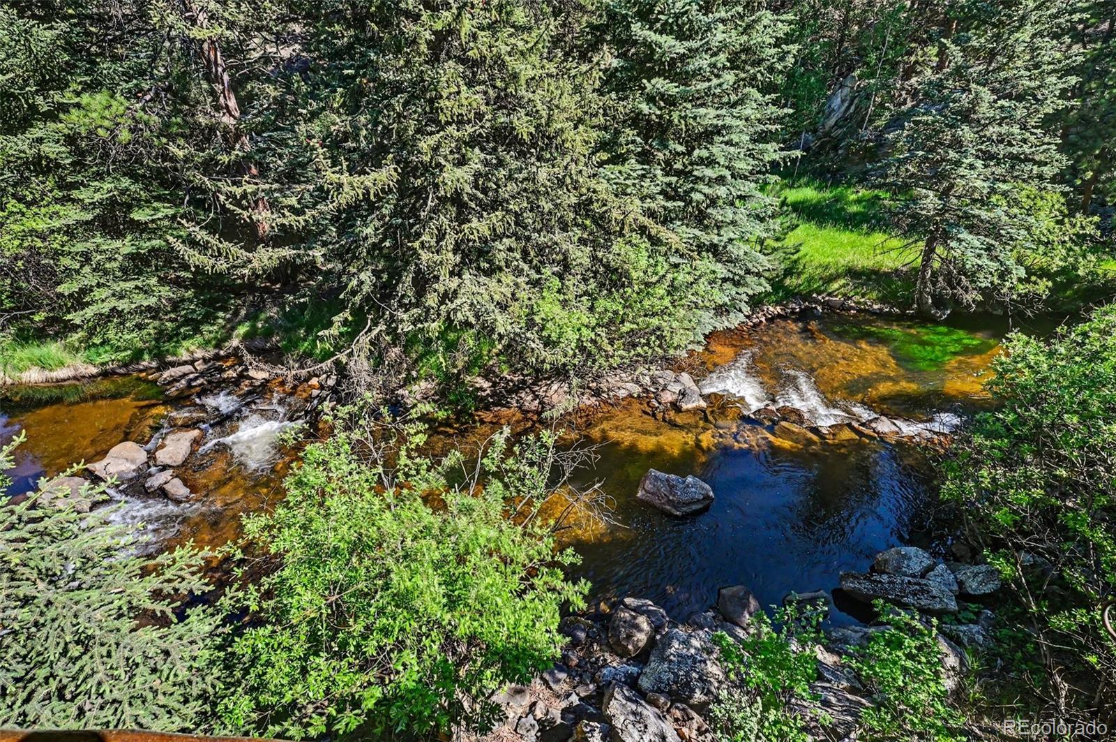 MLS Image #11 for 34403  upper bear creek road,evergreen, Colorado