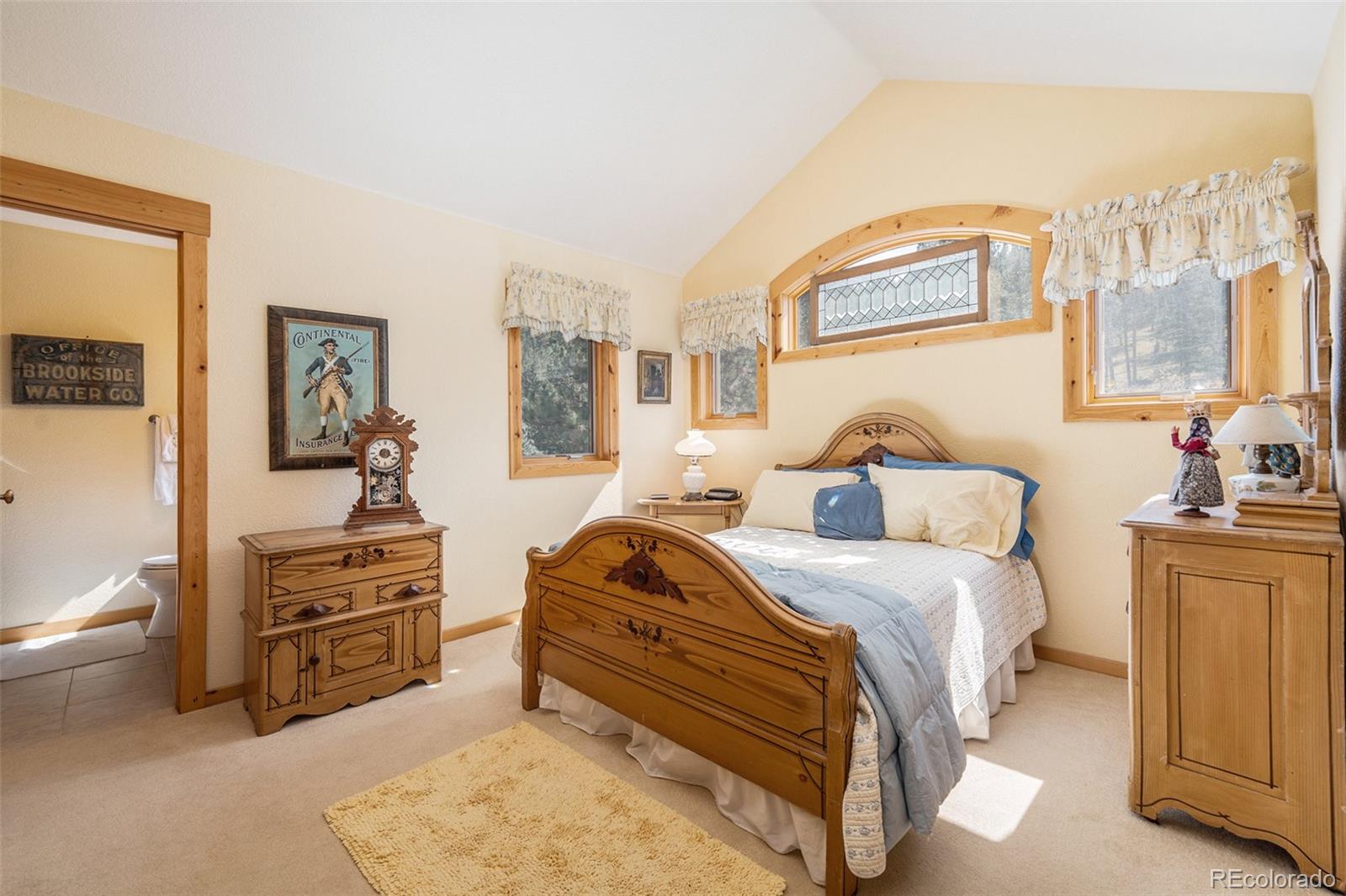 MLS Image #20 for 34403  upper bear creek road,evergreen, Colorado