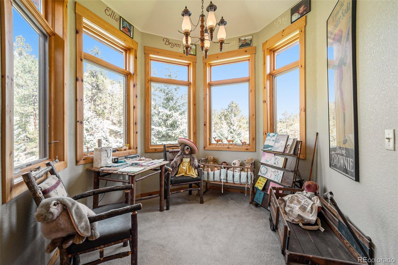 MLS Image #22 for 34403  upper bear creek road,evergreen, Colorado