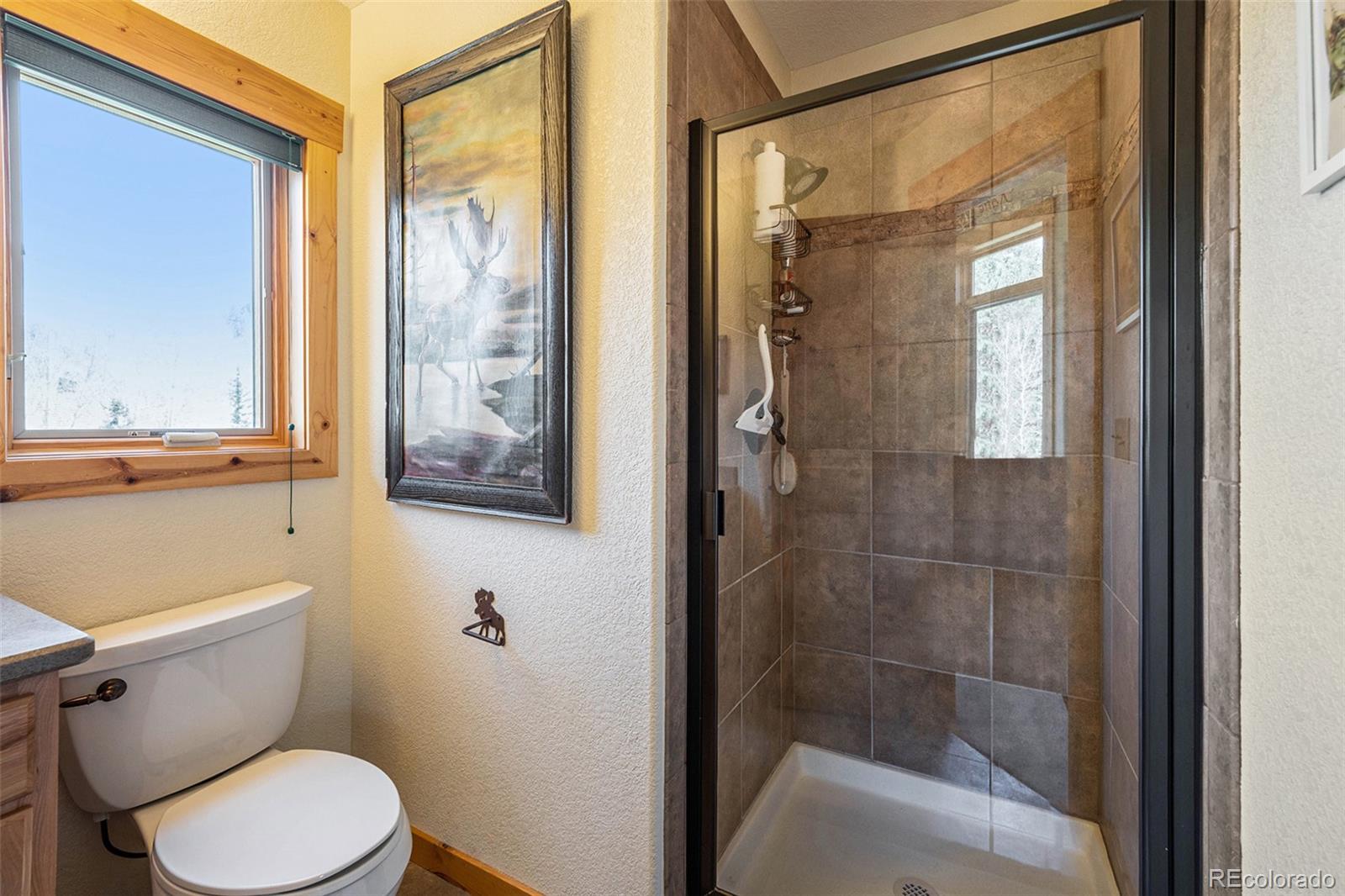 MLS Image #23 for 34403  upper bear creek road,evergreen, Colorado
