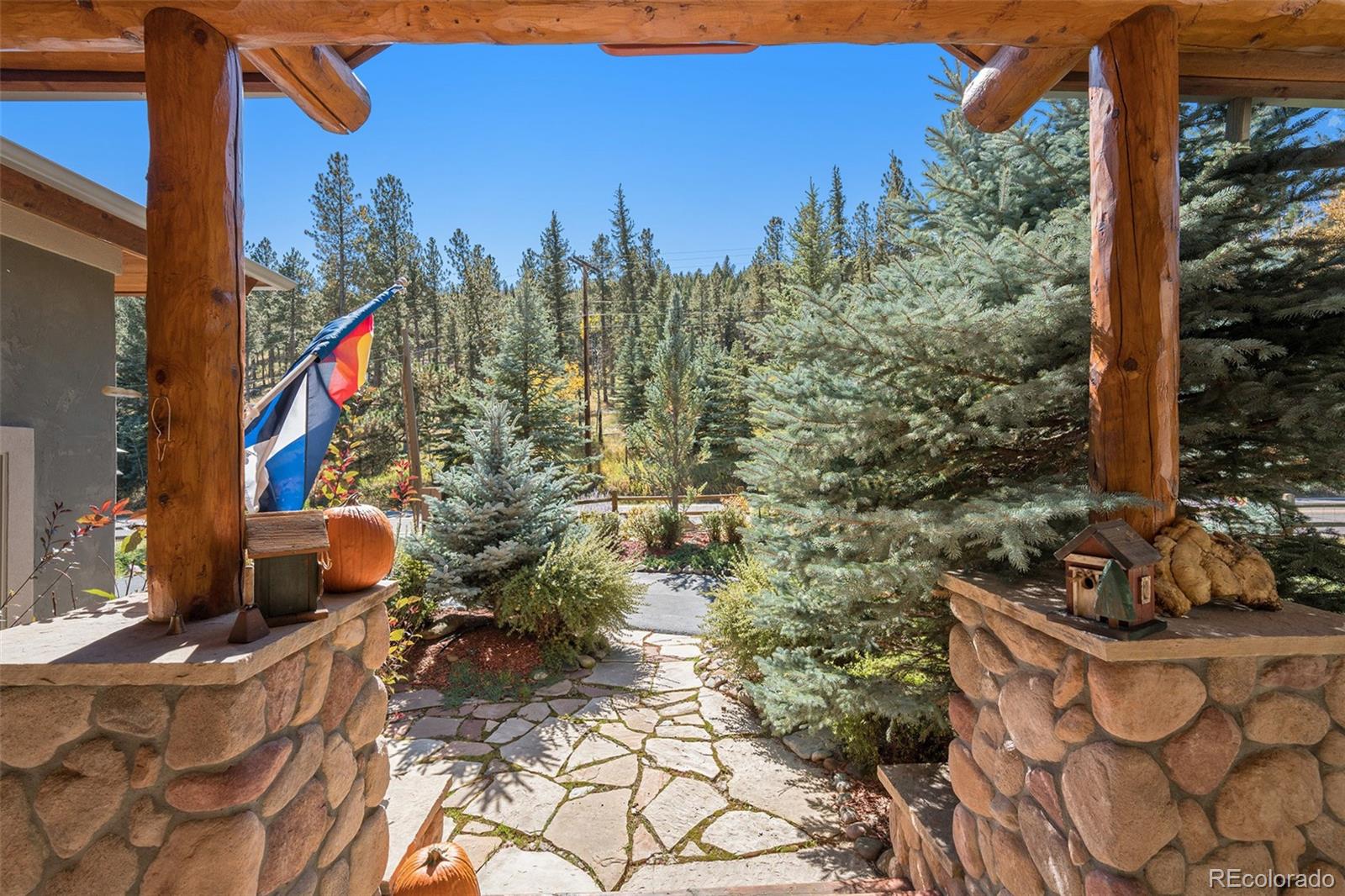 MLS Image #3 for 34403  upper bear creek road,evergreen, Colorado