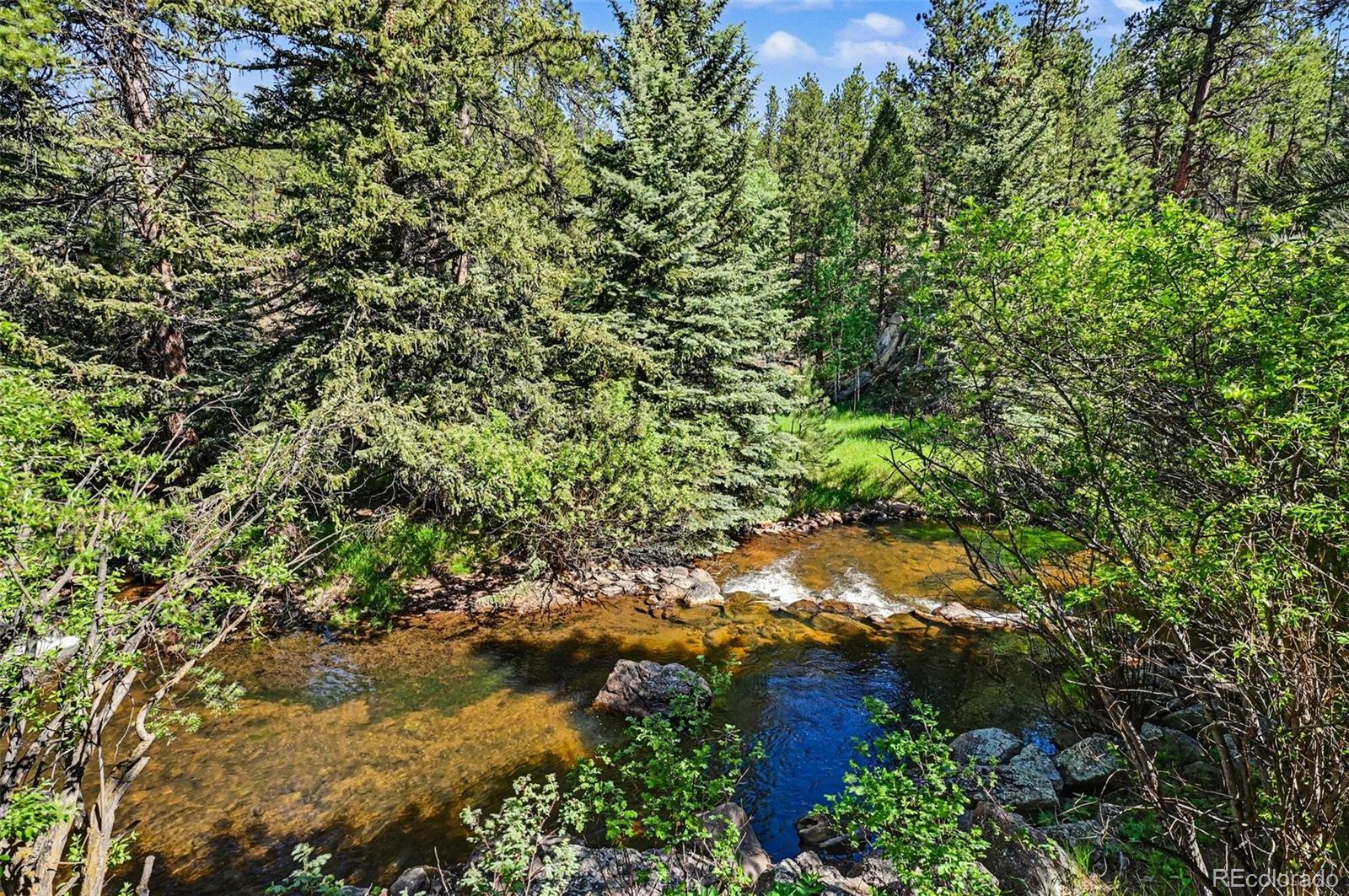 MLS Image #39 for 34403  upper bear creek road,evergreen, Colorado
