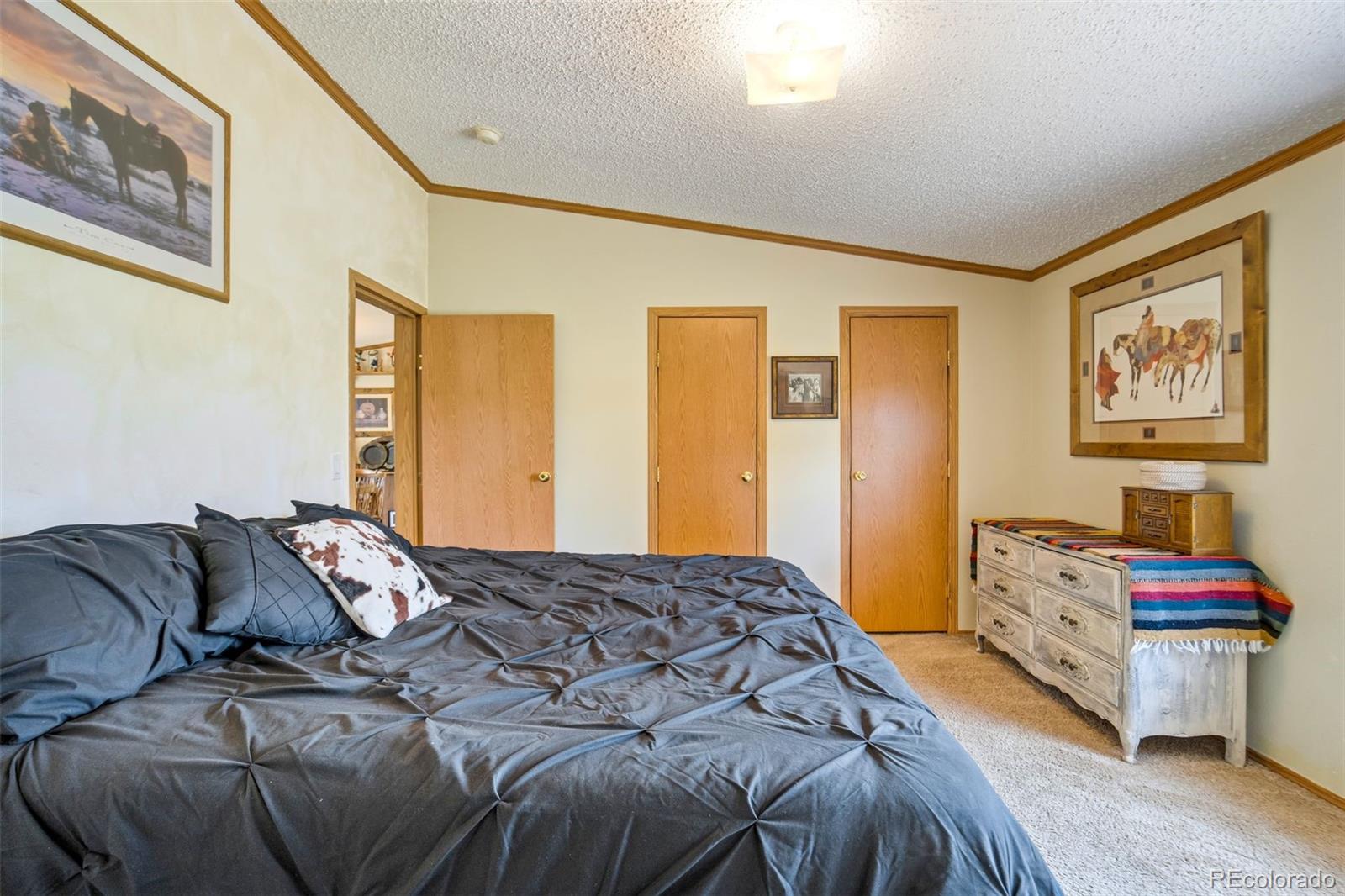 MLS Image #12 for 22120  mcdaniels road,calhan, Colorado