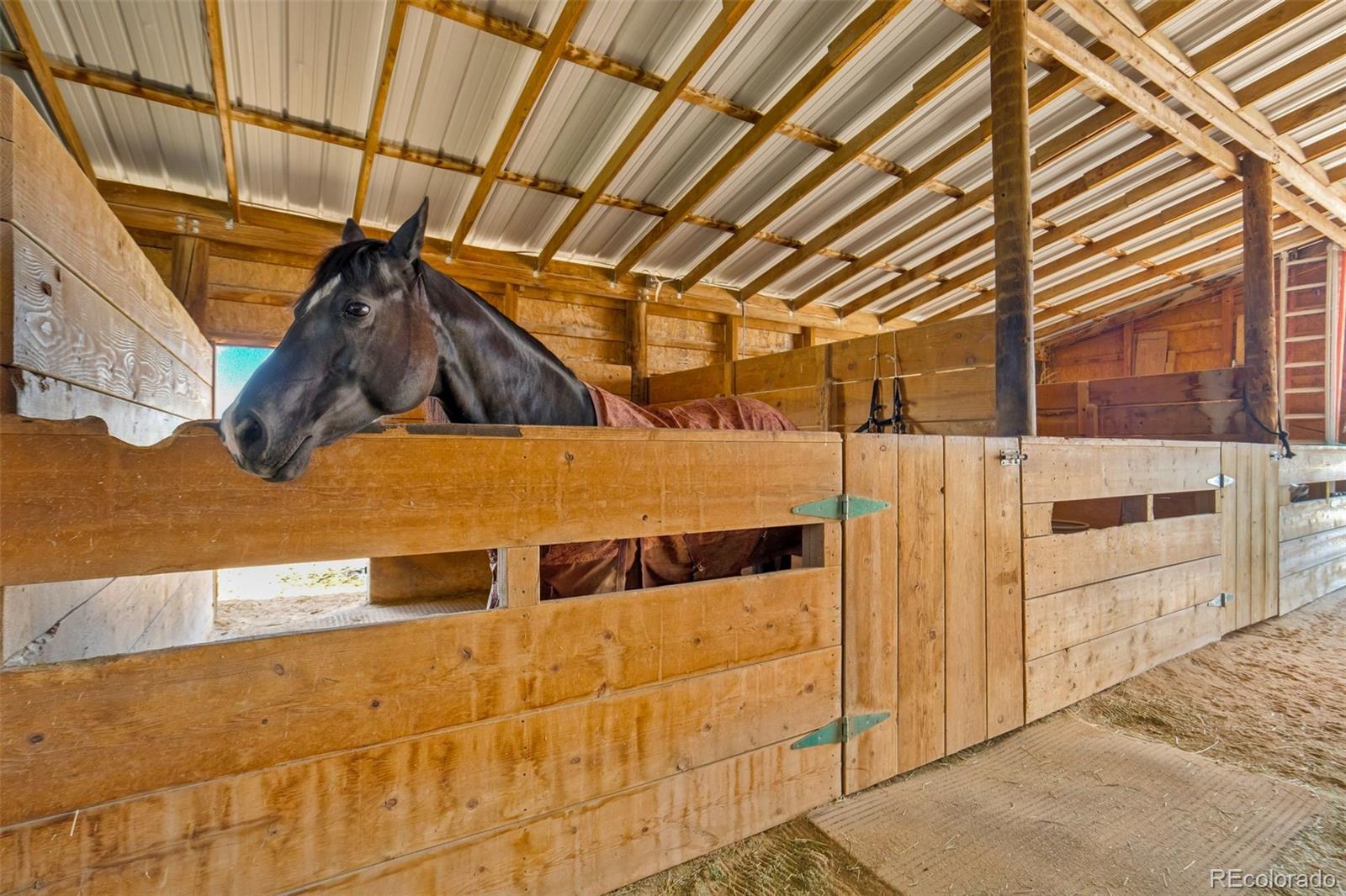 MLS Image #25 for 22120  mcdaniels road,calhan, Colorado