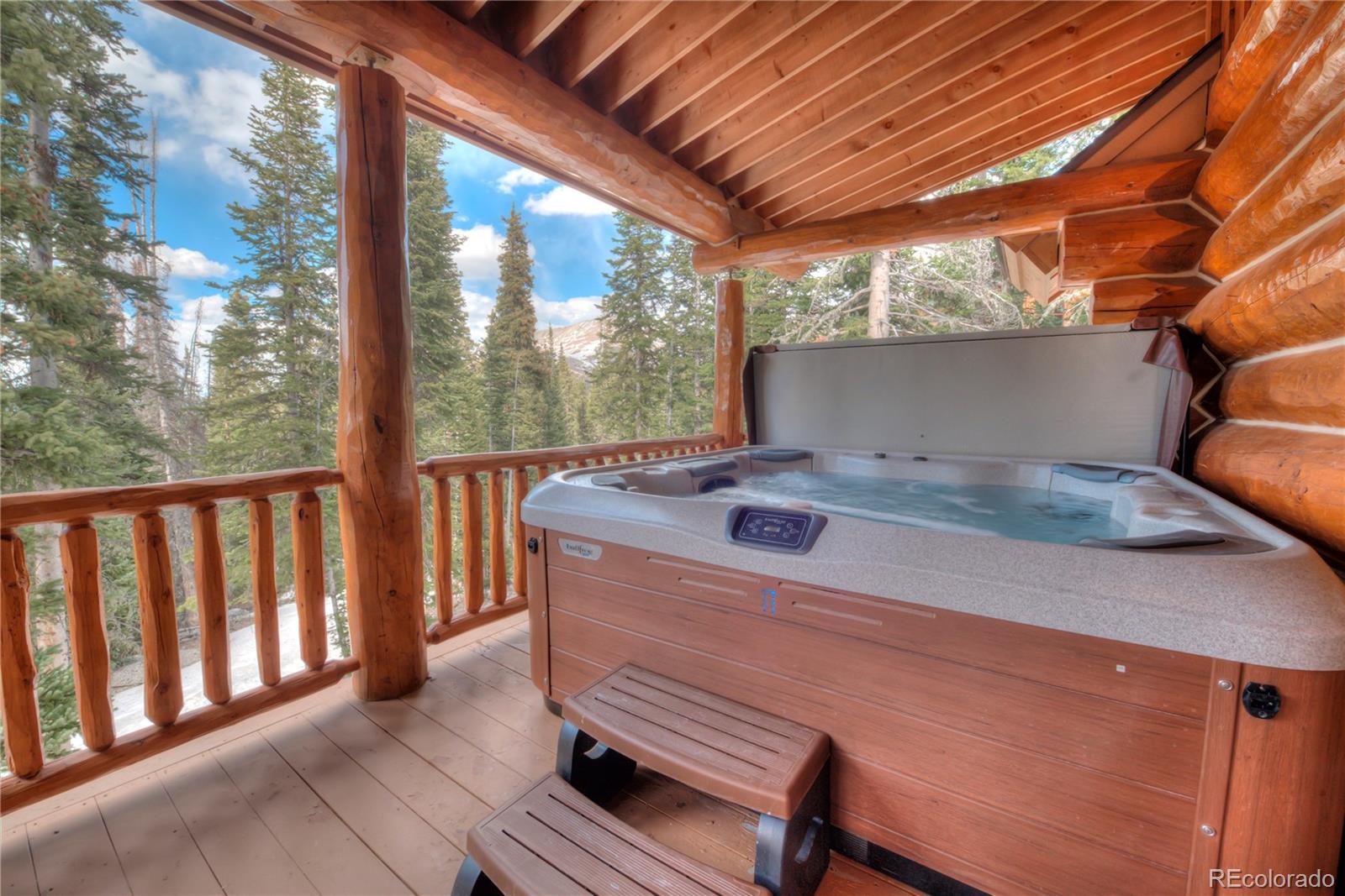 MLS Image #11 for 328  quandary view drive,breckenridge, Colorado