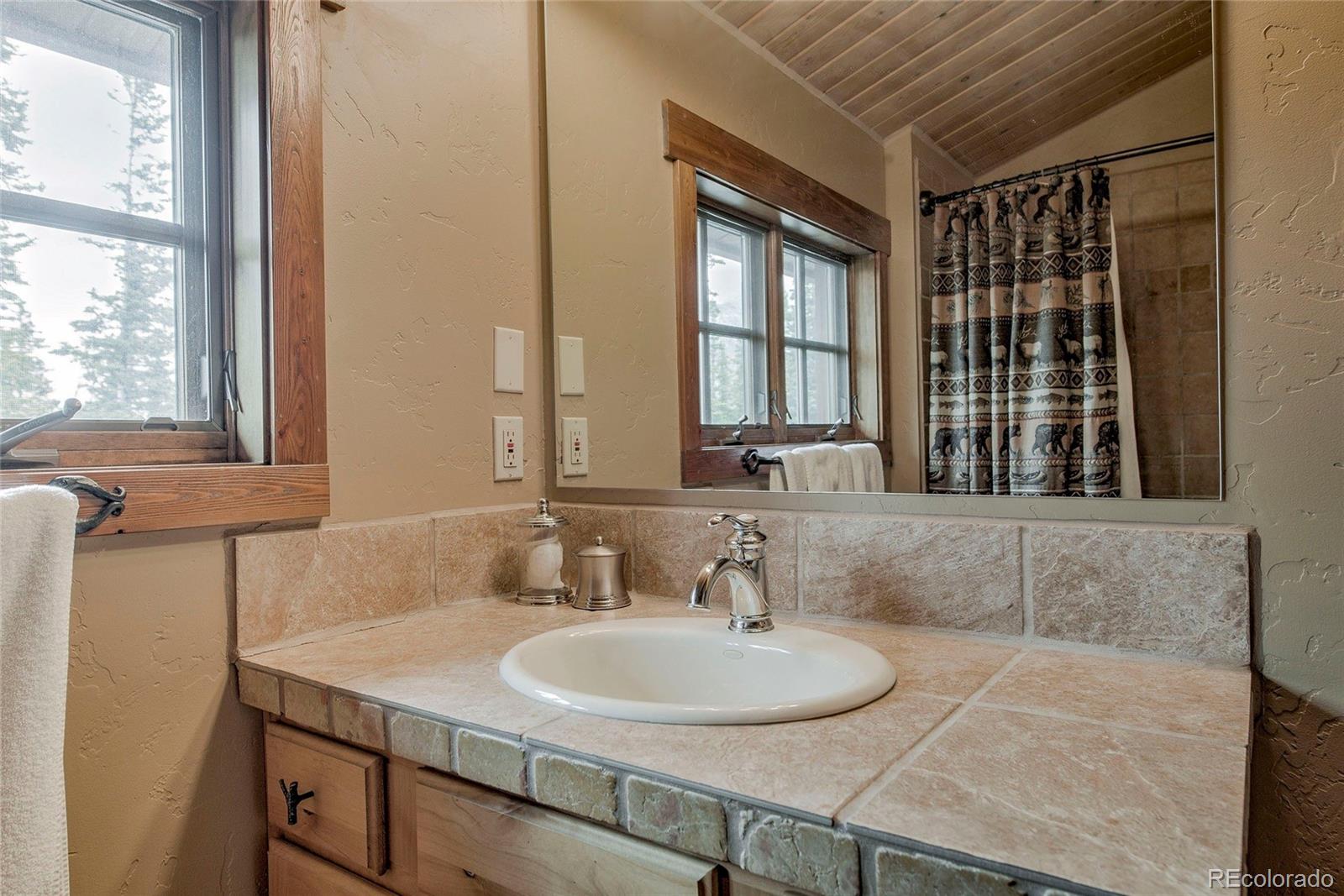 MLS Image #33 for 328  quandary view drive,breckenridge, Colorado