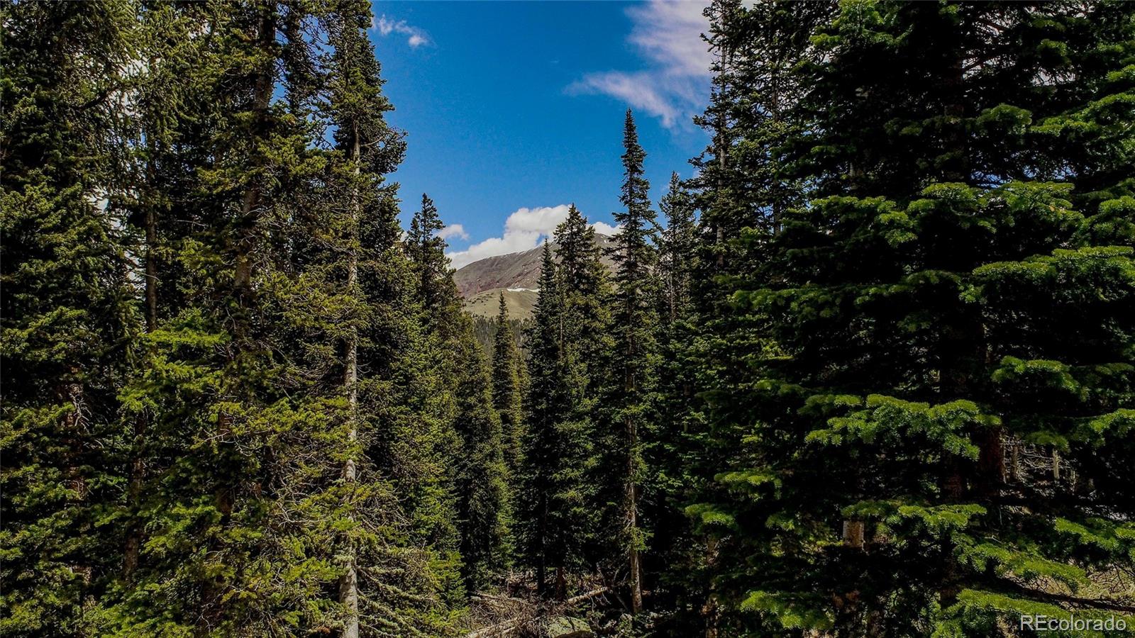 MLS Image #7 for 328  quandary view drive,breckenridge, Colorado