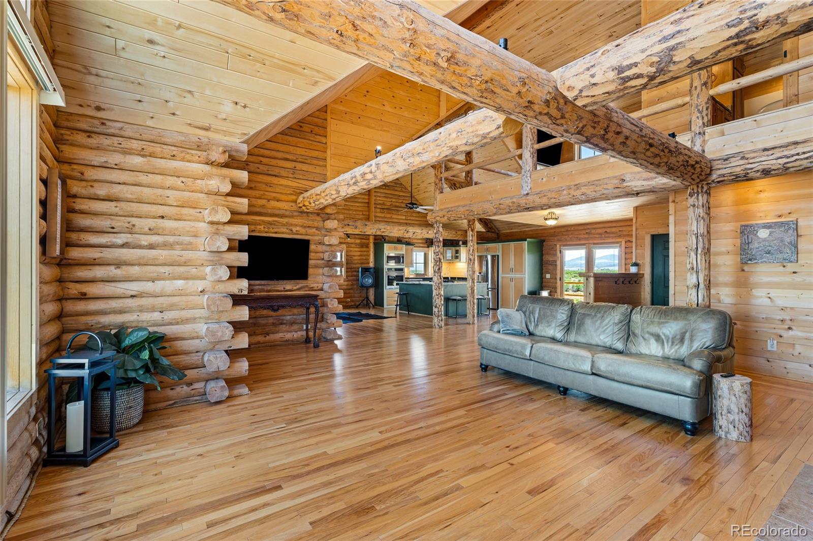 MLS Image #18 for 49310  county road u ,saguache, Colorado