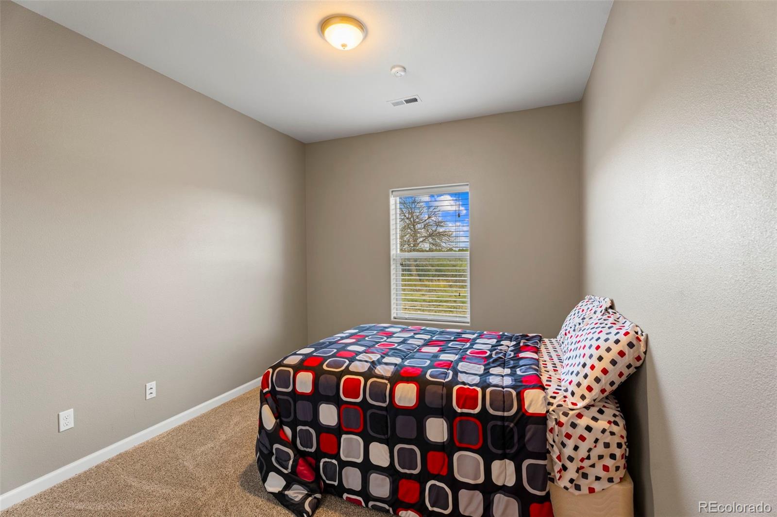 MLS Image #11 for 6040  big sky drive,rye, Colorado
