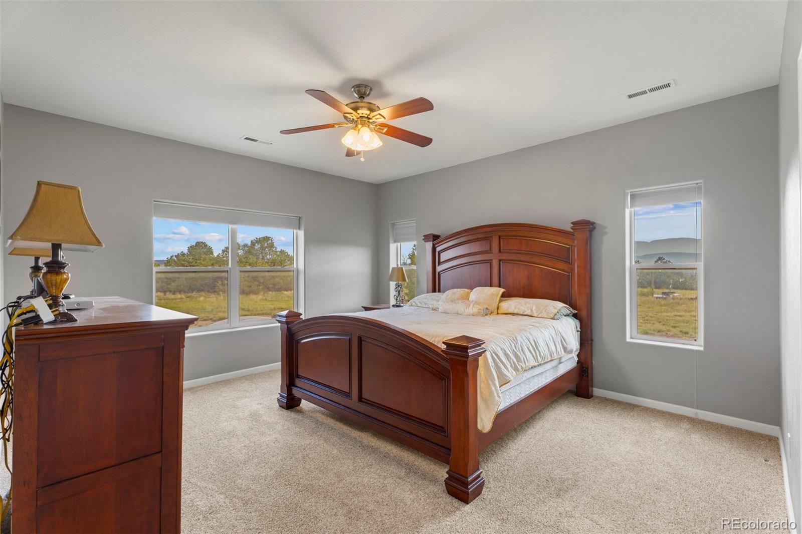 MLS Image #15 for 6040  big sky drive,rye, Colorado