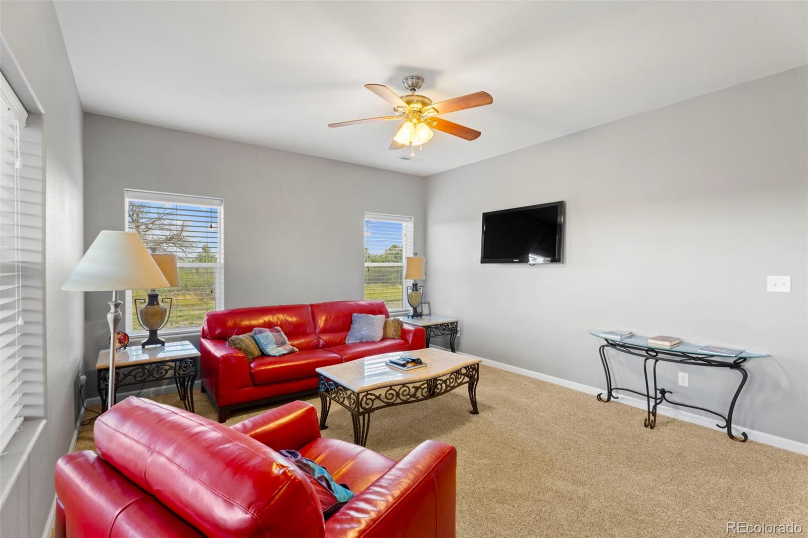 MLS Image #3 for 6040  big sky drive,rye, Colorado