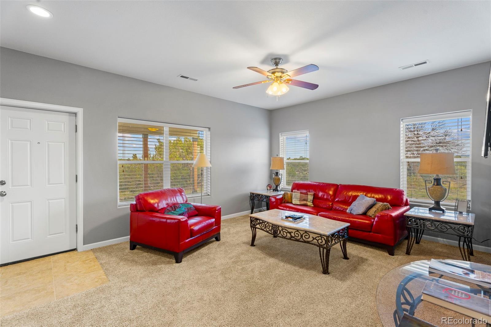 MLS Image #4 for 6040  big sky drive,rye, Colorado