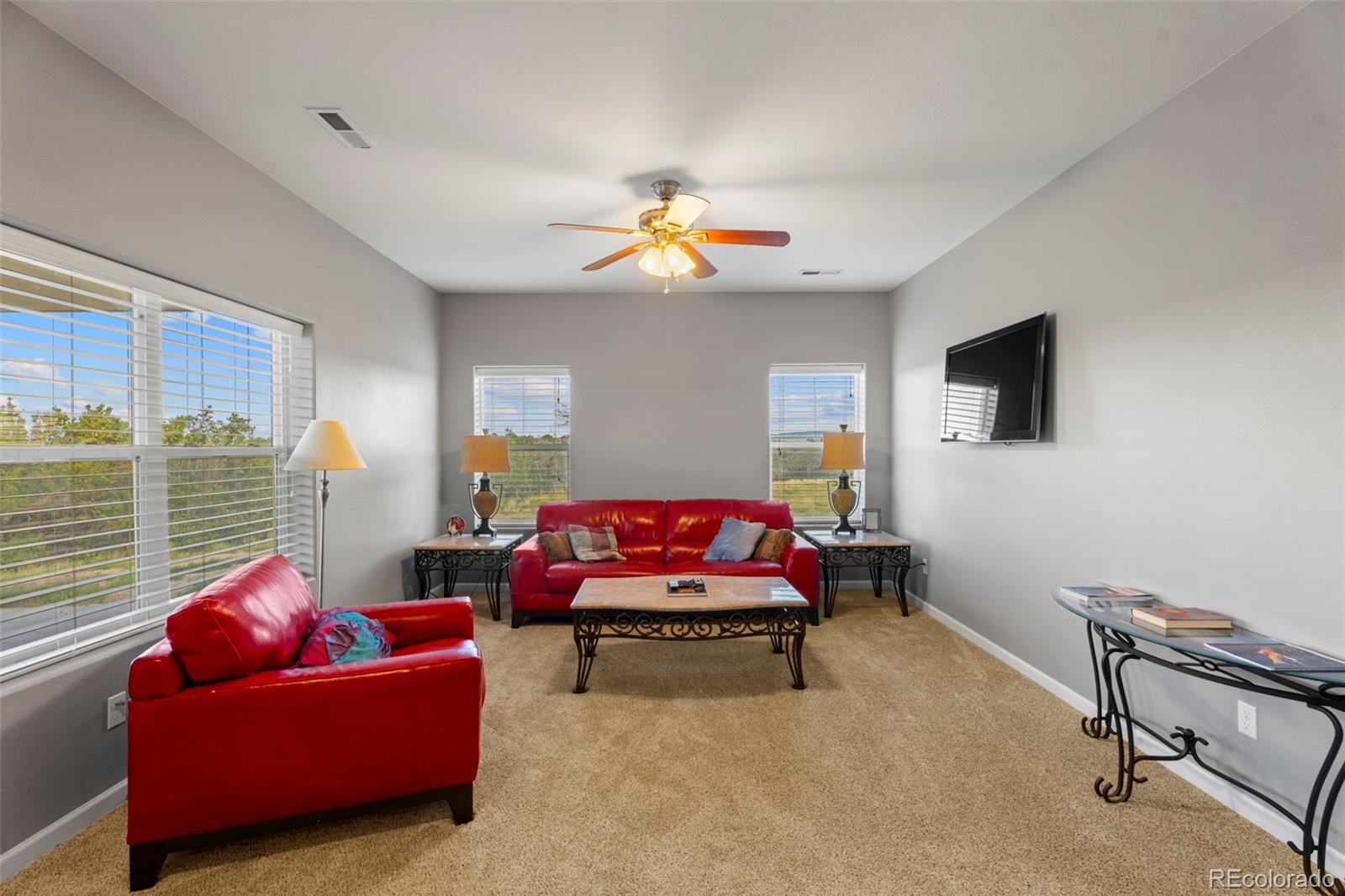 MLS Image #5 for 6040  big sky drive,rye, Colorado