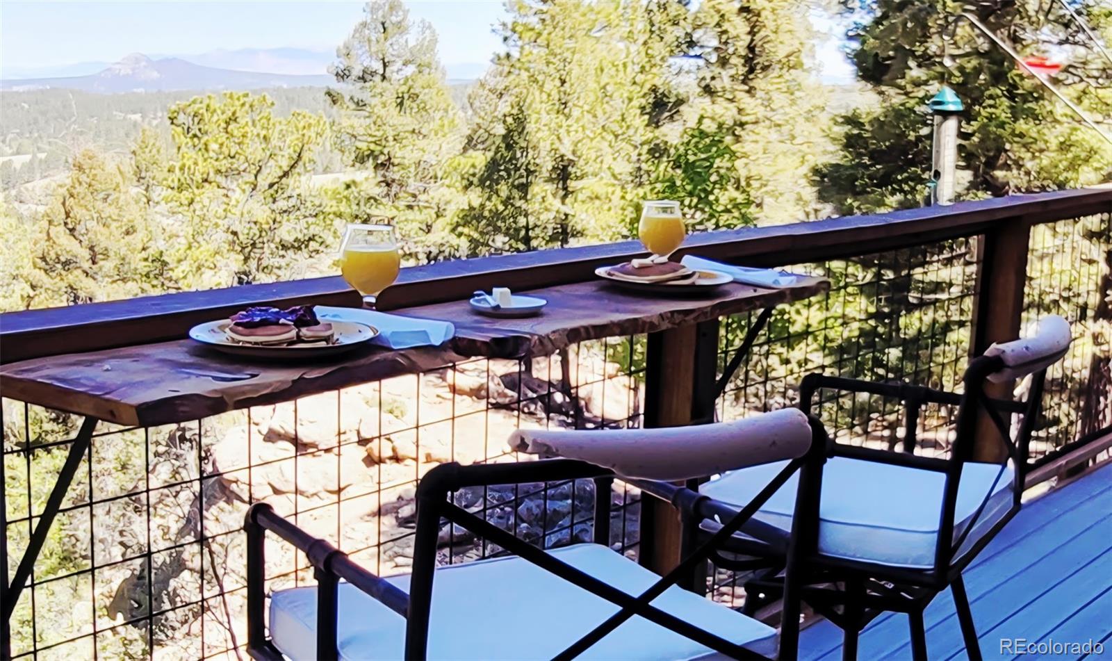 MLS Image #10 for 87  bonanza circle,florissant, Colorado