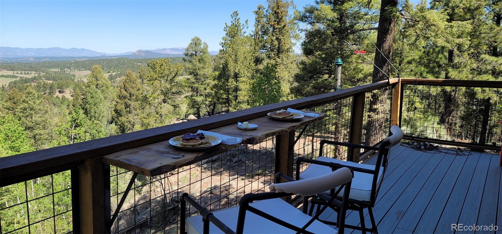 MLS Image #11 for 87  bonanza circle,florissant, Colorado