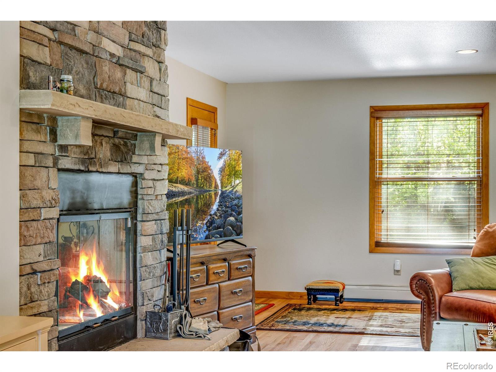 MLS Image #12 for 1026  lexington lane,estes park, Colorado