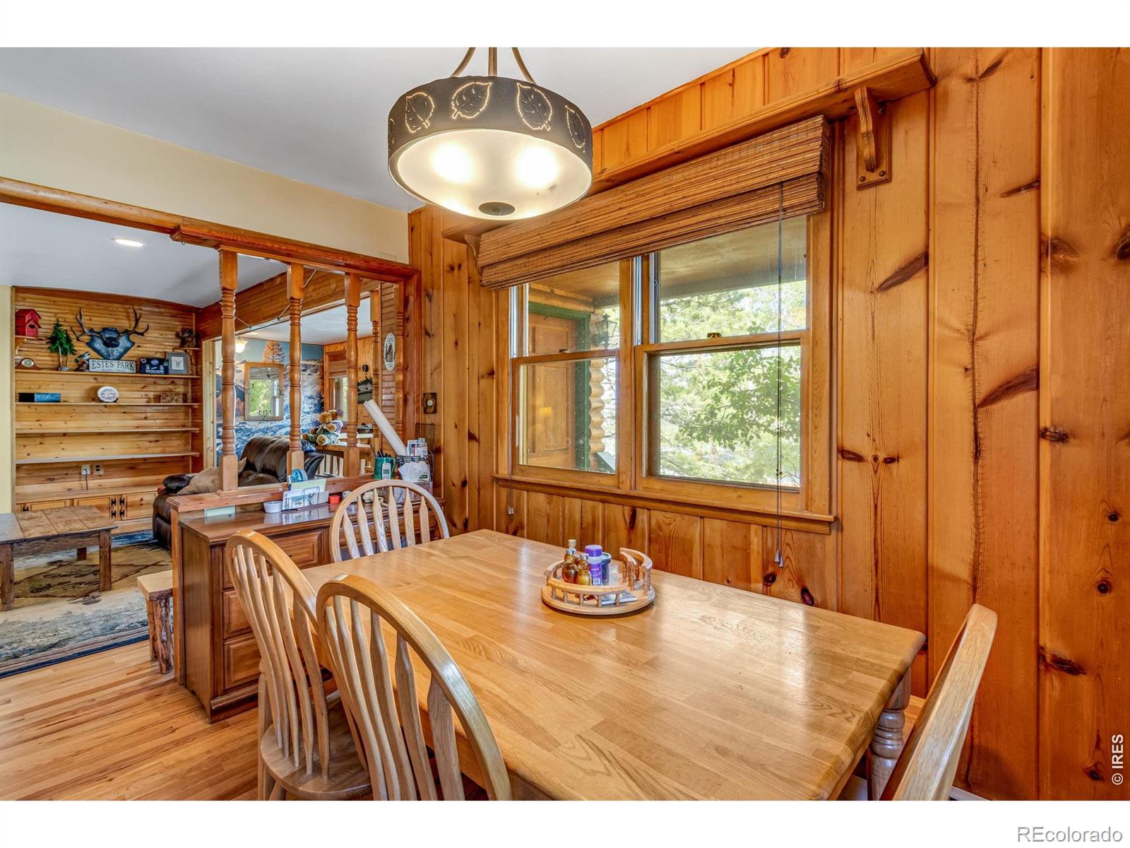 MLS Image #17 for 1026  lexington lane,estes park, Colorado