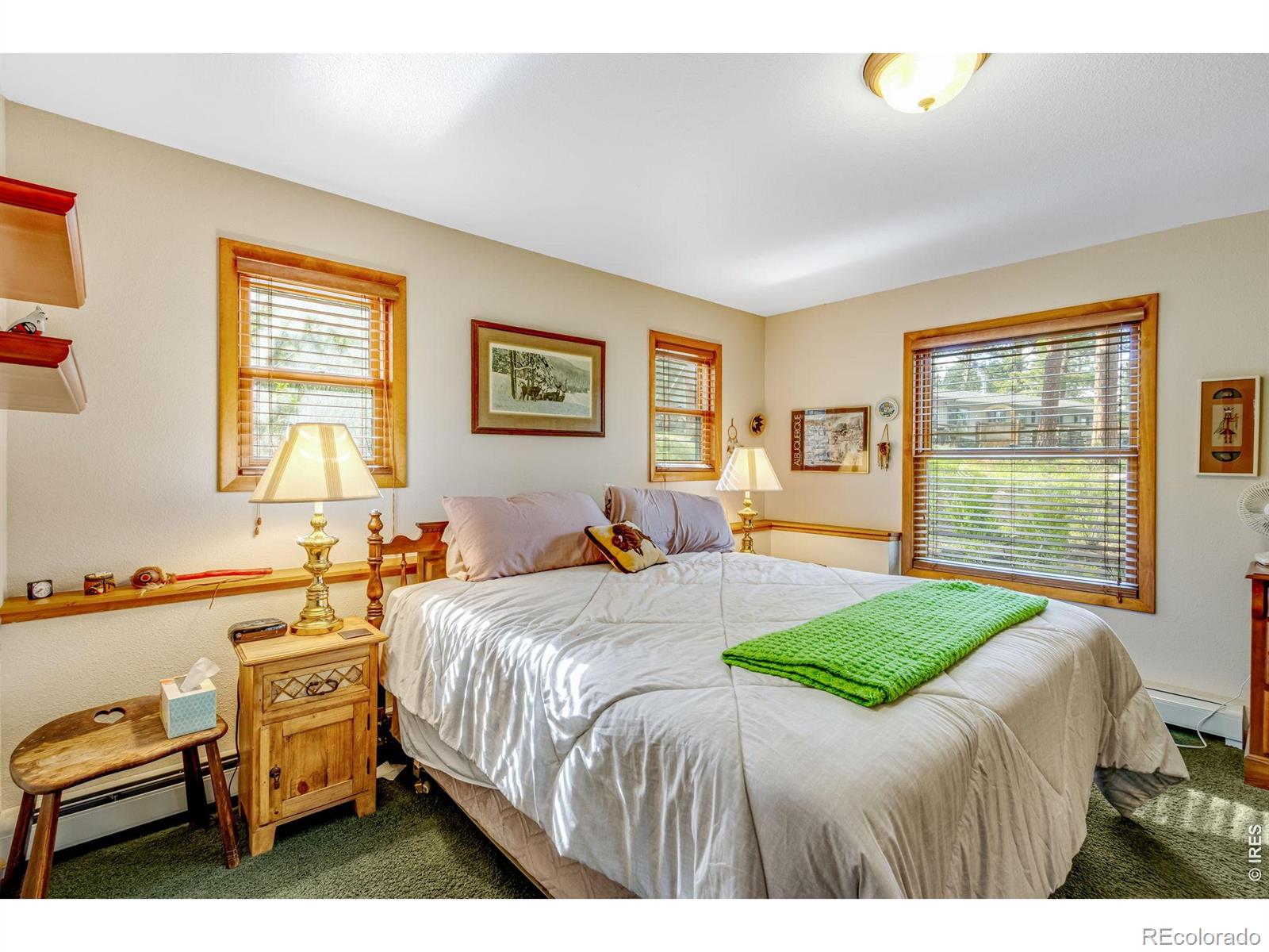 MLS Image #24 for 1026  lexington lane,estes park, Colorado