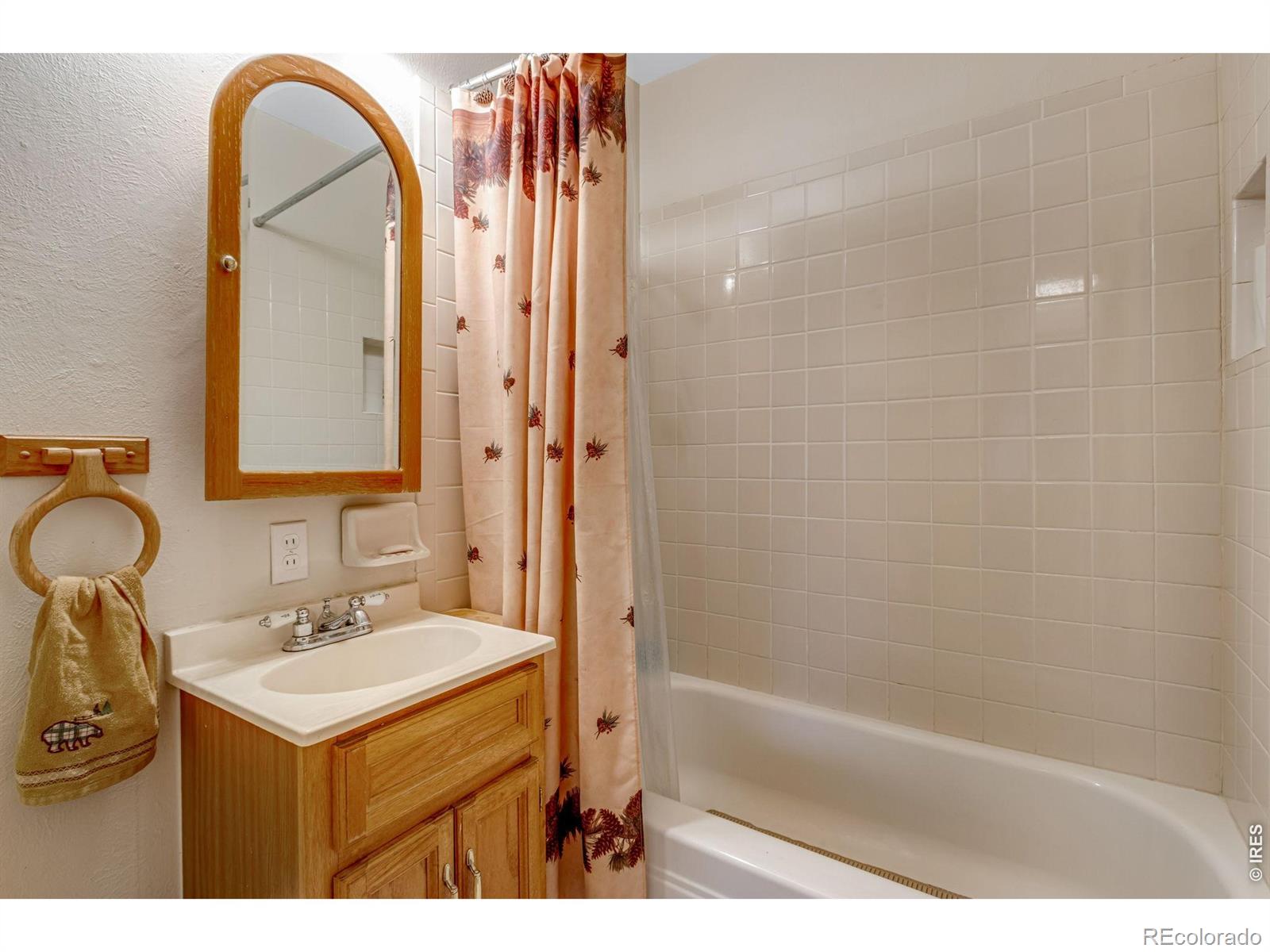 MLS Image #29 for 1026  lexington lane,estes park, Colorado