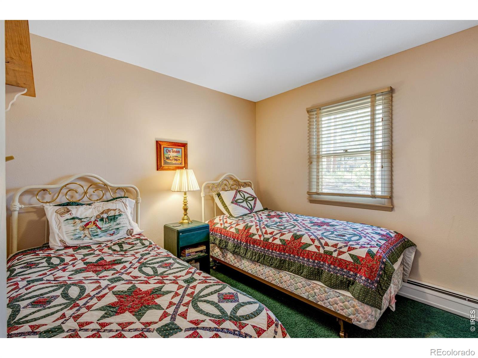 MLS Image #30 for 1026  lexington lane,estes park, Colorado