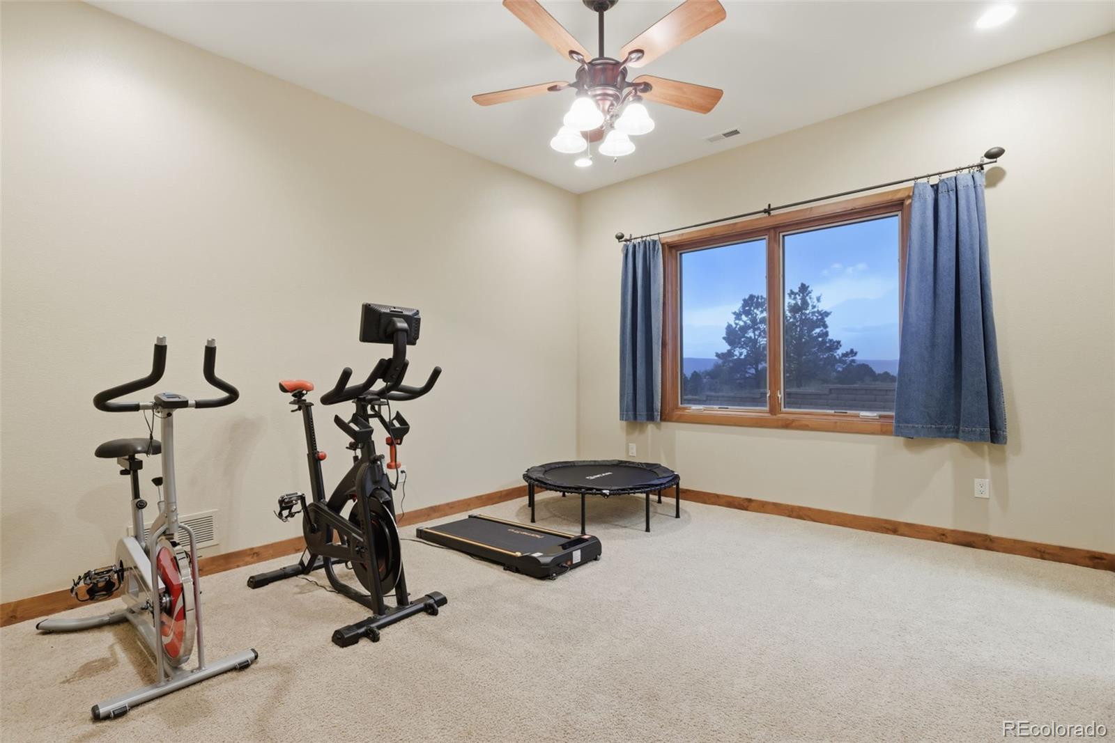 MLS Image #28 for 4330  ridgeway lane,colorado springs, Colorado