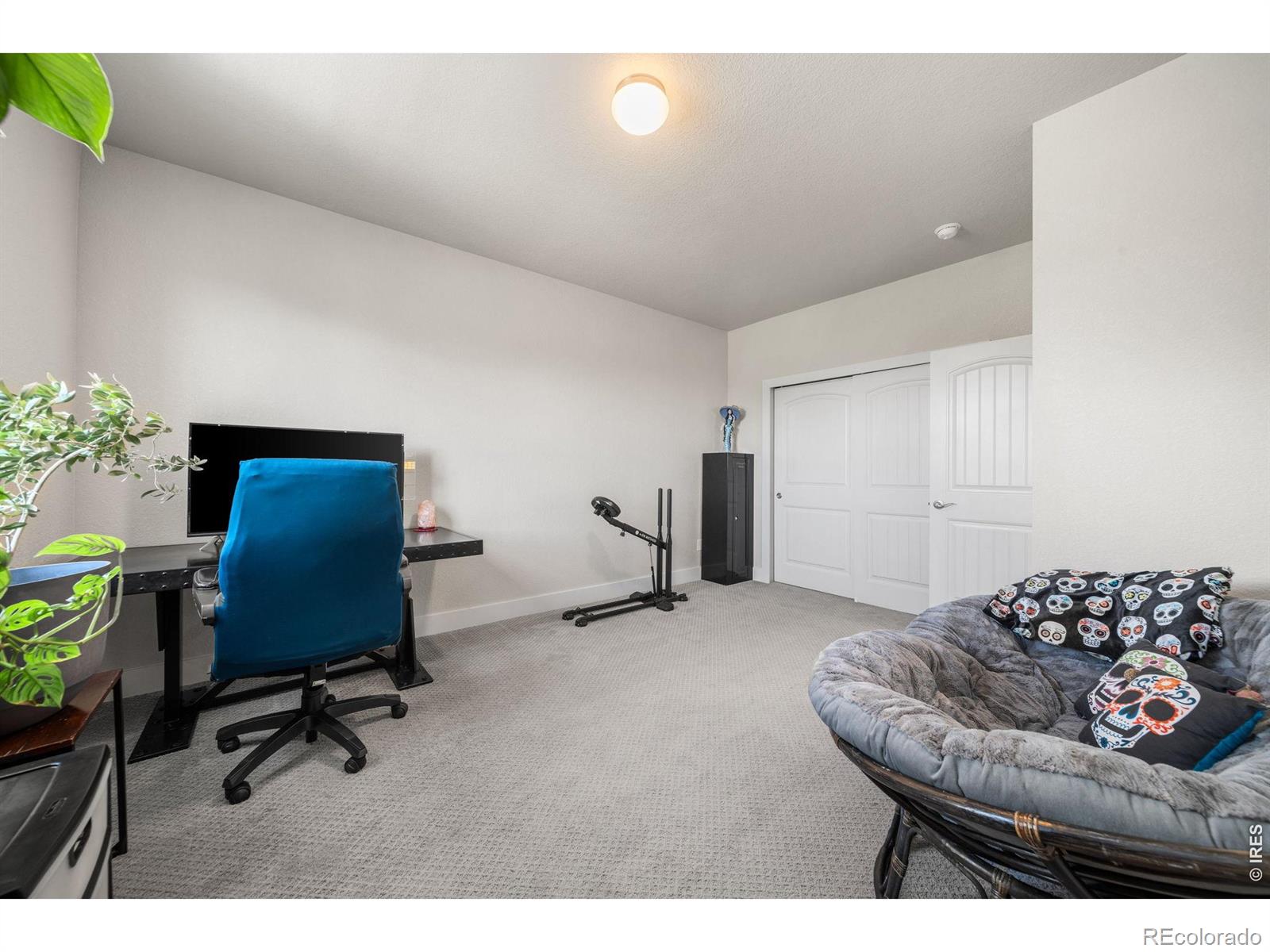 MLS Image #26 for 3039  county fair lane,fort collins, Colorado