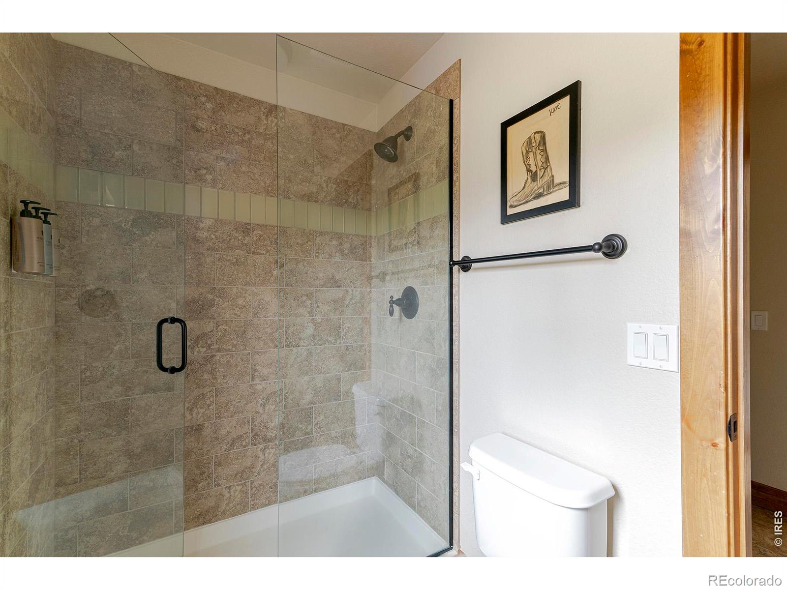 MLS Image #30 for 60  moose horn court,fraser, Colorado