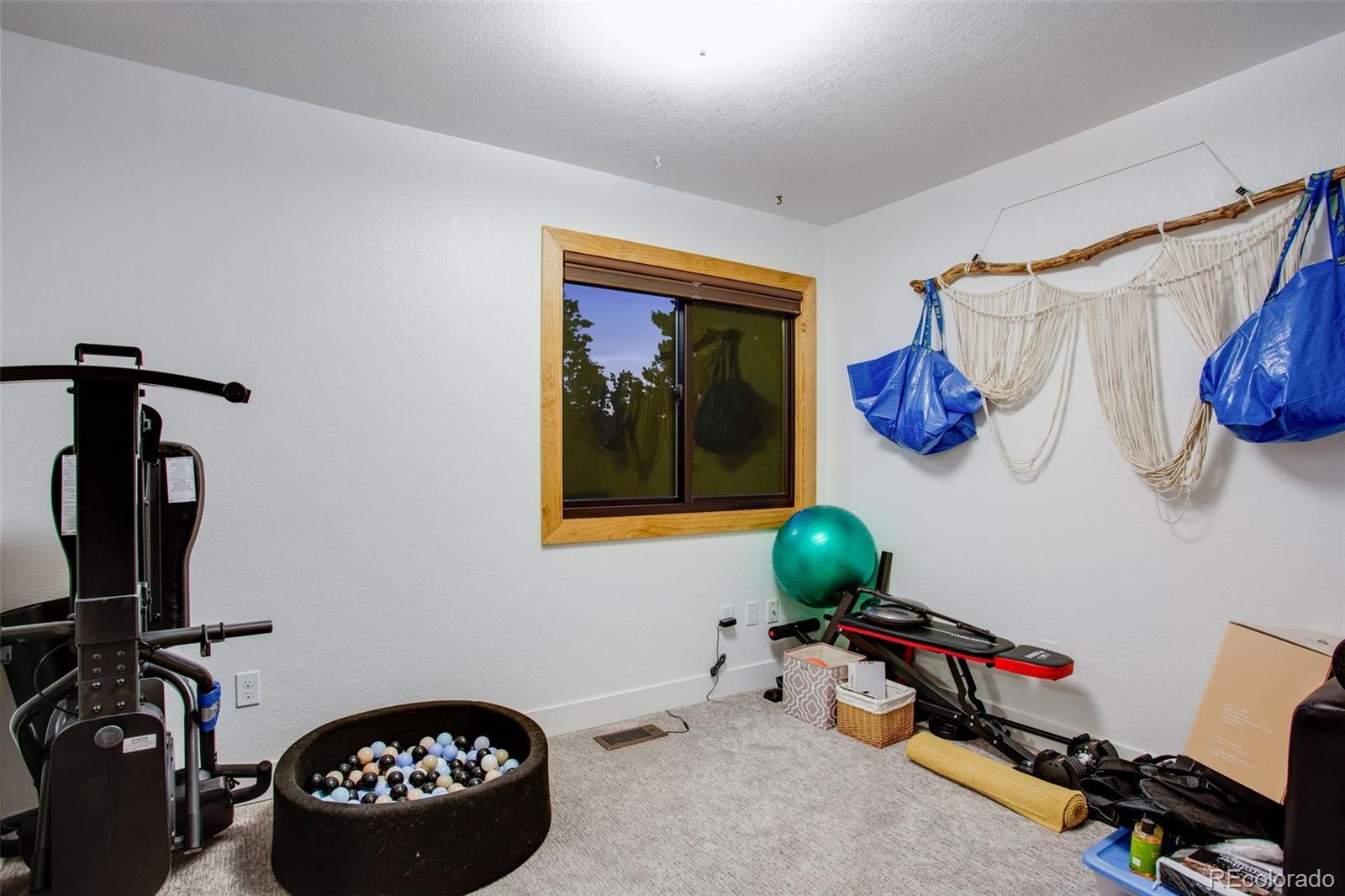 MLS Image #30 for 422  hillsboro court,fort collins, Colorado