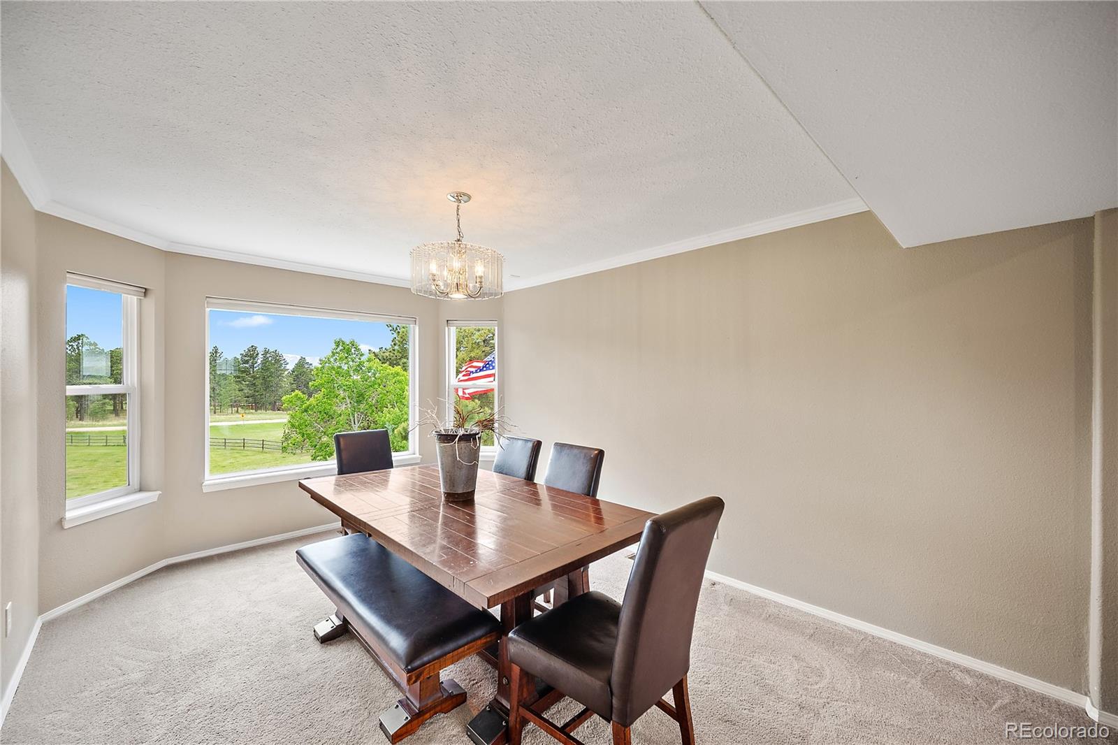 MLS Image #16 for 7950  wranglers way,colorado springs, Colorado