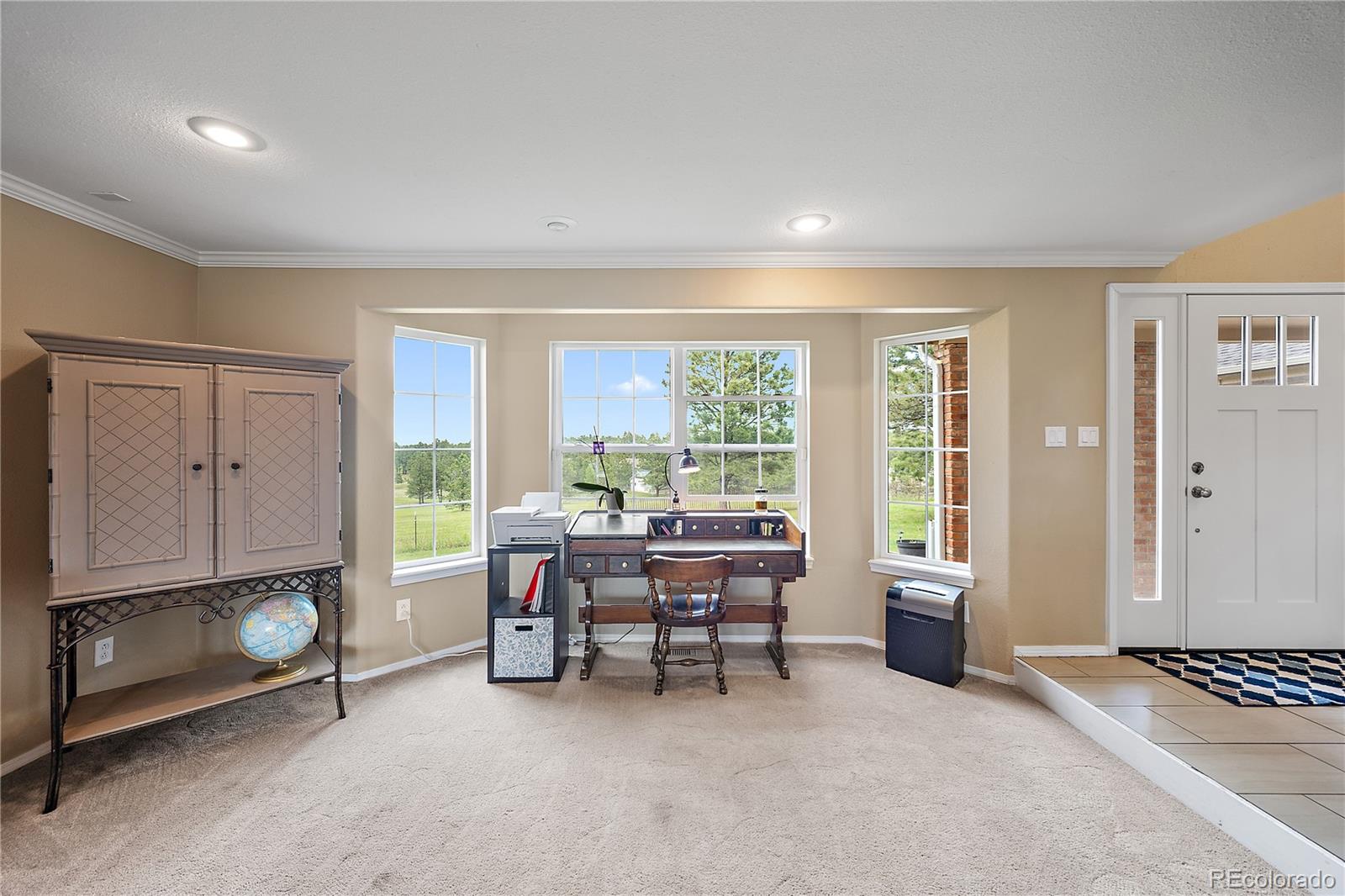 MLS Image #18 for 7950  wranglers way,colorado springs, Colorado