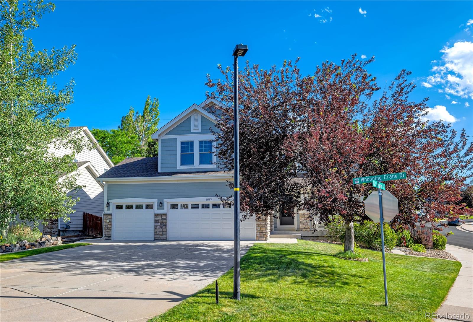 MLS Image #1 for 11683  whooping crane drive,parker, Colorado
