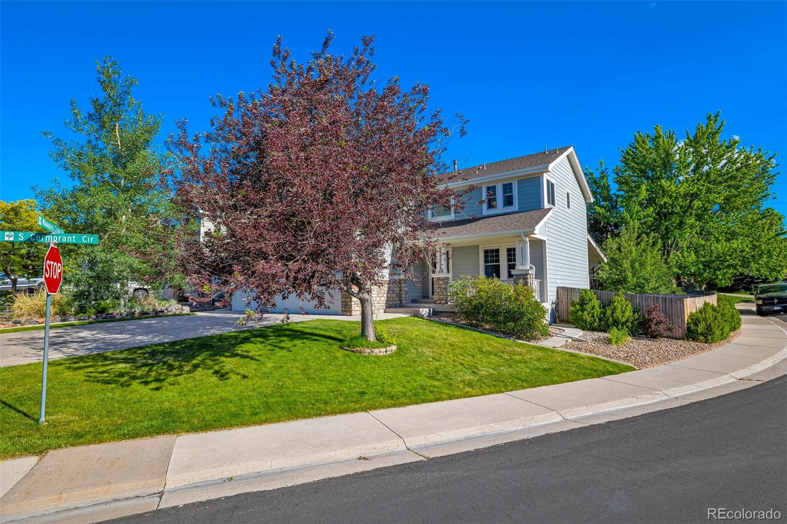 MLS Image #2 for 11683  whooping crane drive,parker, Colorado