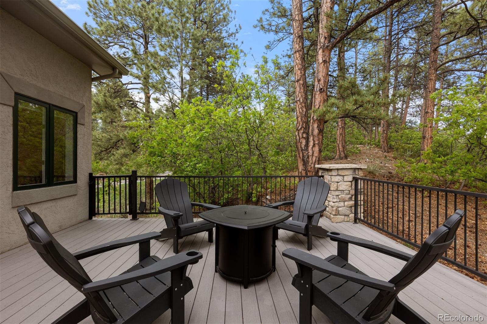MLS Image #21 for 4502  prospect drive,castle rock, Colorado