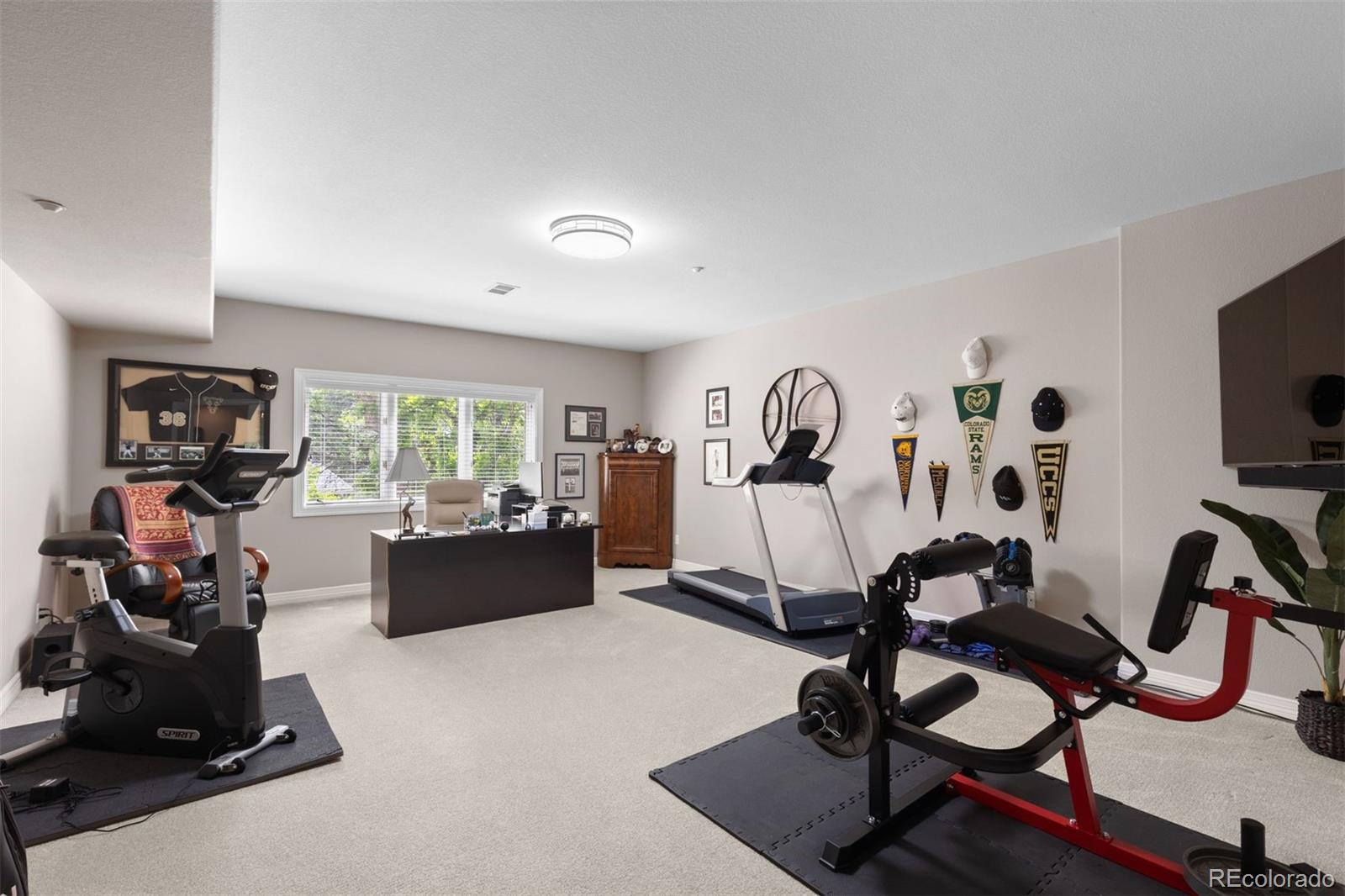 MLS Image #29 for 4502  prospect drive,castle rock, Colorado