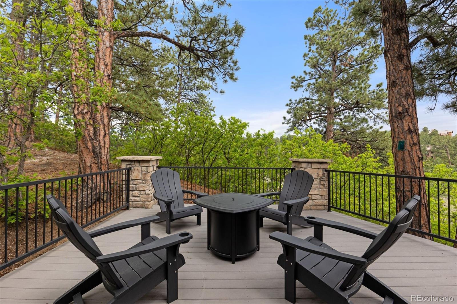 MLS Image #3 for 4502  prospect drive,castle rock, Colorado